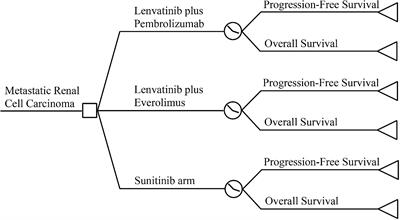 Cost-Effectiveness of Lenvatinib Plus Pembrolizumab or Everolimus as First-Line Treatment of Advanced Renal Cell Carcinoma